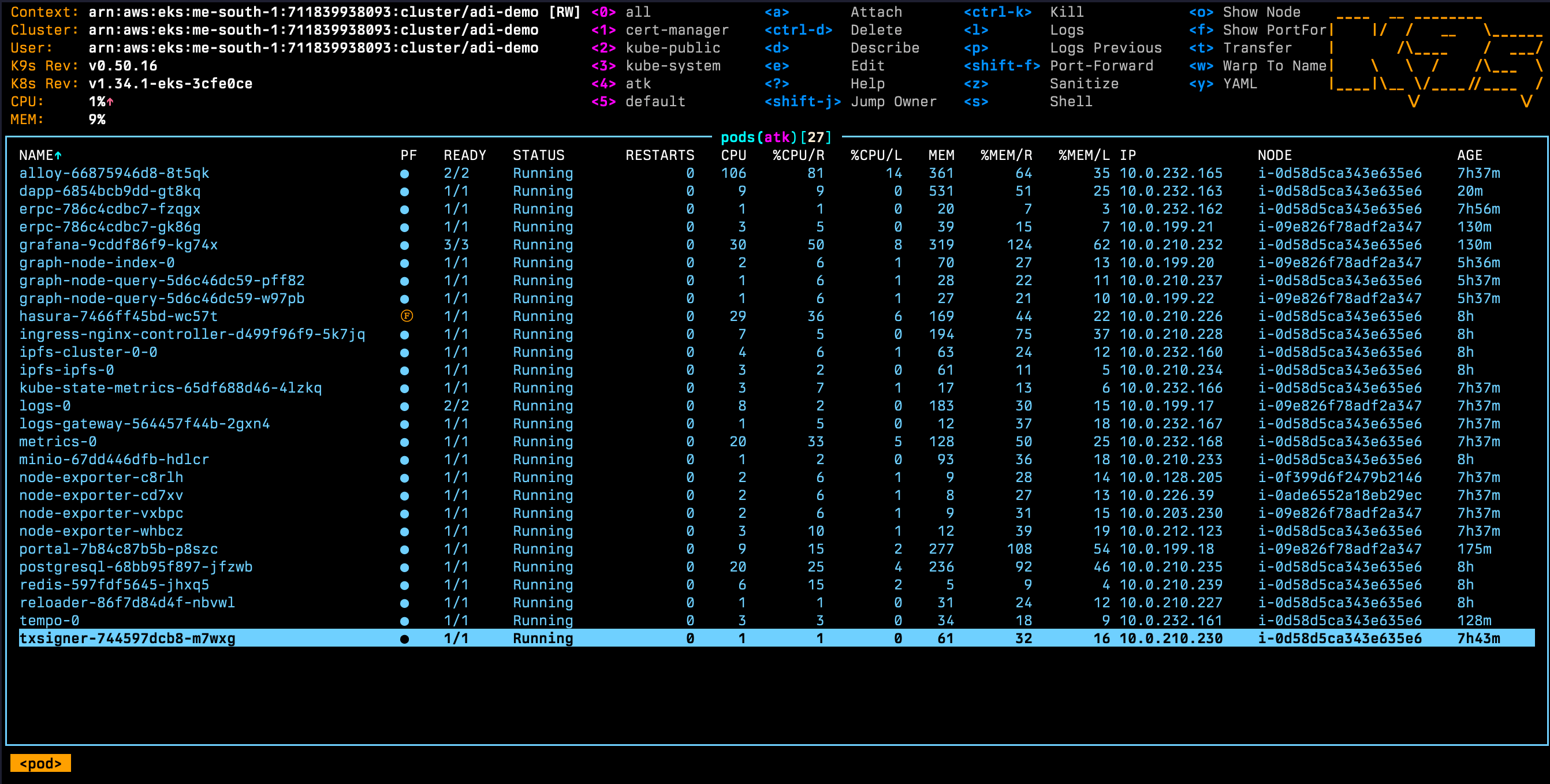 Kubernetes pods running successfully